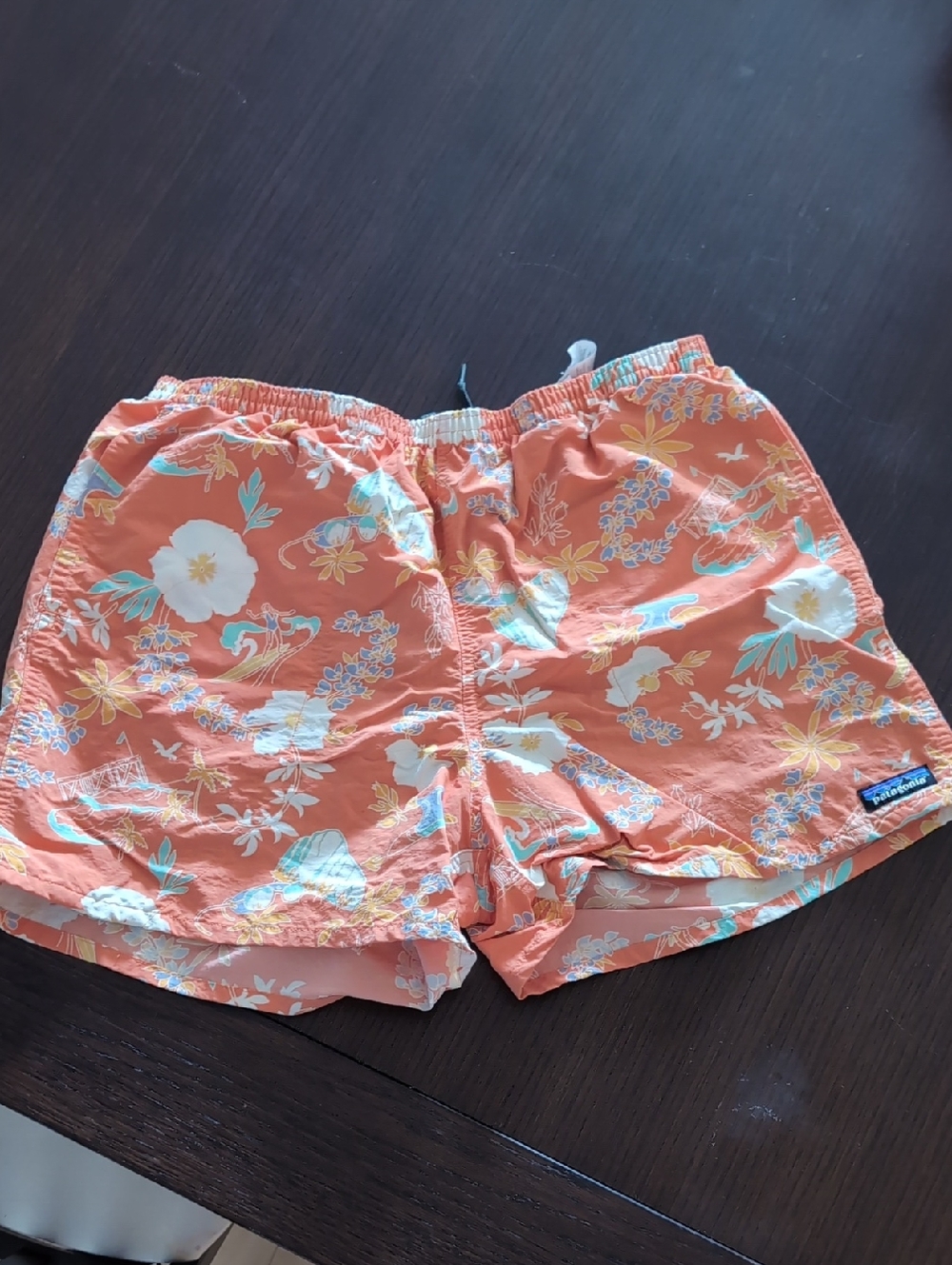 Patagonia Baggies 5 Inch